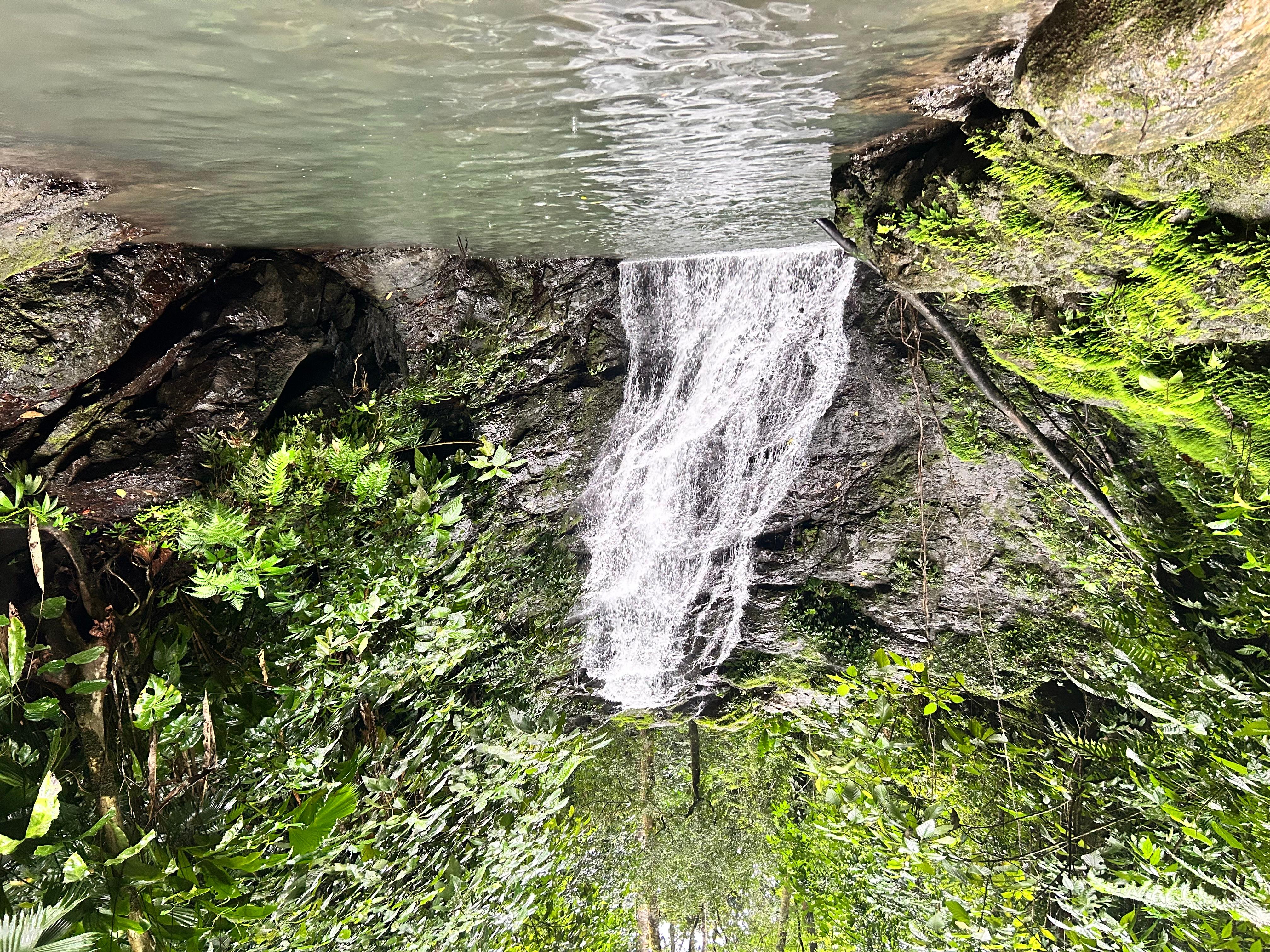 Corcovado Sunrise Tour with Los Planes Ranger Station – Puntarenas, Costa Rica