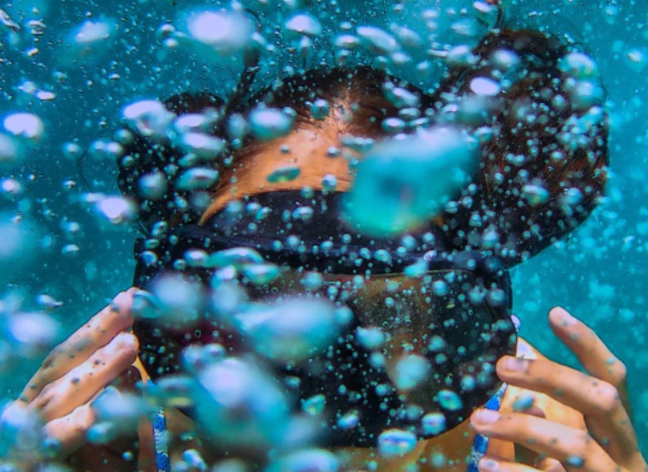 Corcovado snorkeling and wildlife tour – Puntarenas, Costa Rica