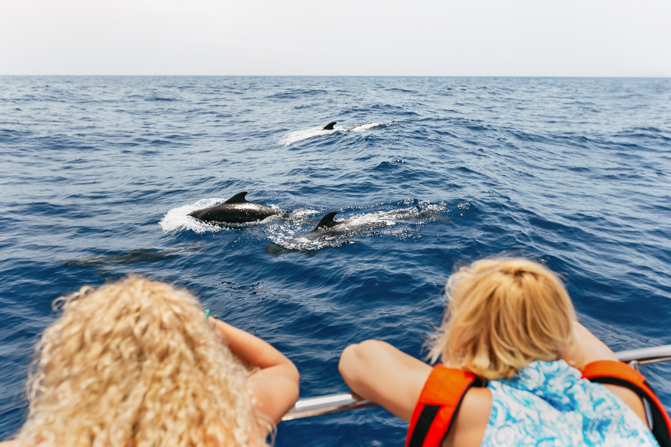 Costa Adeje: Whale Watching Catamaran Tour with Drinks – Costa Adeje, Spain