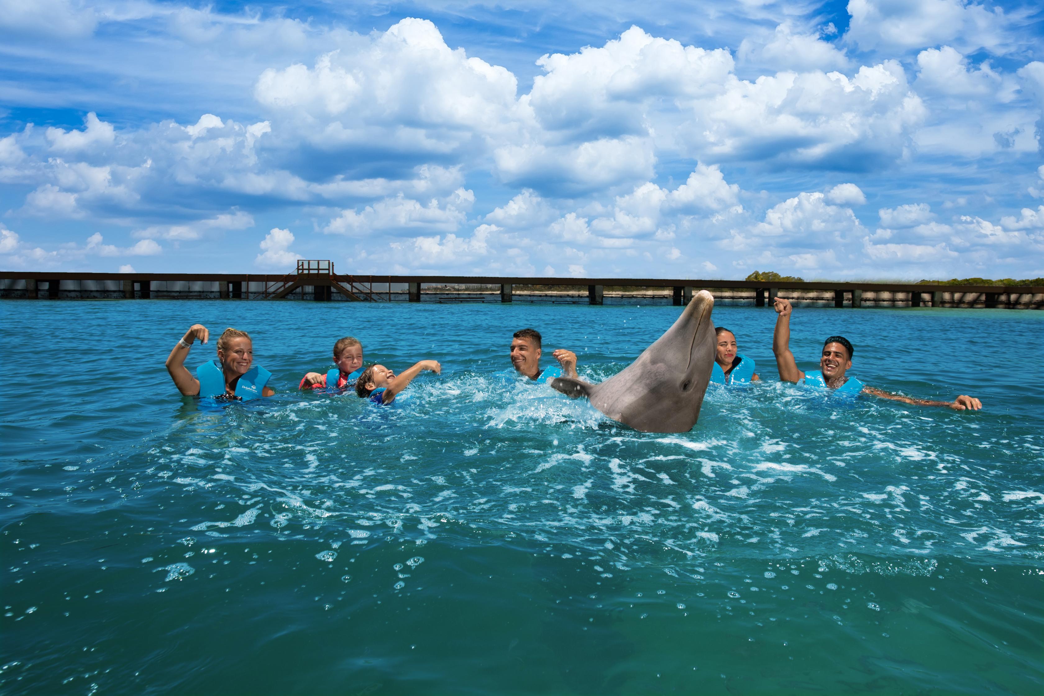 Costa Mujeres: Swim with Dolphins – Cancun, Mexico