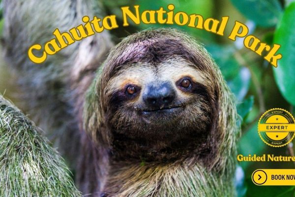 Costa Rica: Guided Nature Hike in Cahuita National Park – Sloth Sanctuary of Costa Rica, Costa Rica