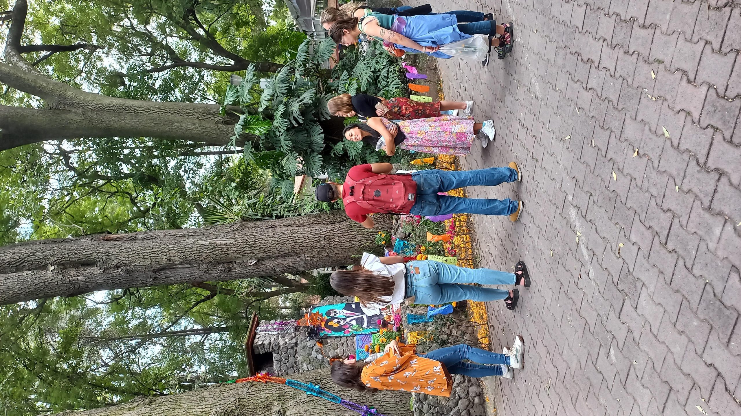 Coyoacán: History and Life of a Magical Neighborhood – Mexico City, Mexico