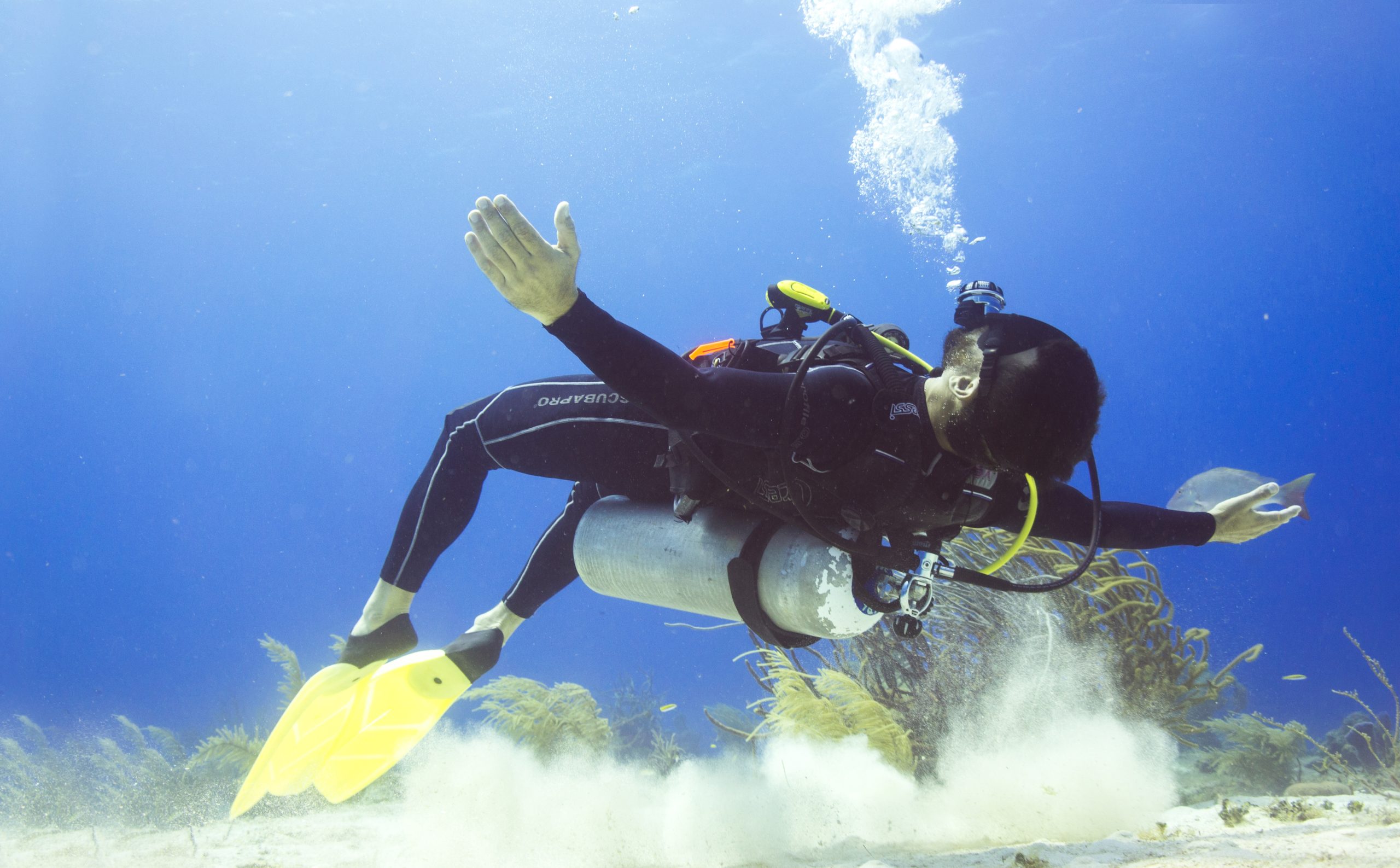 Cozumel: One Tank Scuba Dive and Full Chankanaab Park Access – Cozumel, Mexico