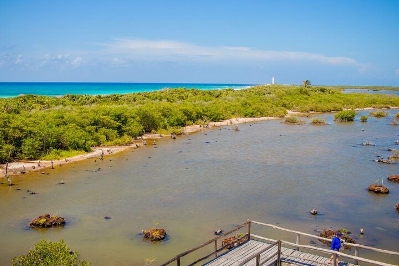Cozumel: Private Buggy Tour to Punta Sur Park All Inclusive – Cozumel, Mexico