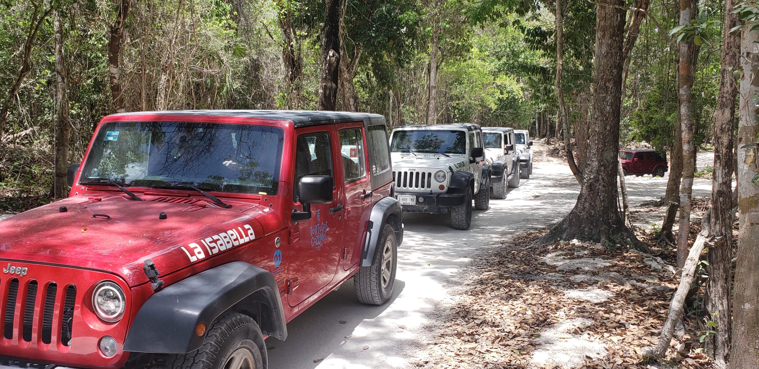Cozumel: Private Jeep Tour Shore Excursion – Cozumel, Mexico