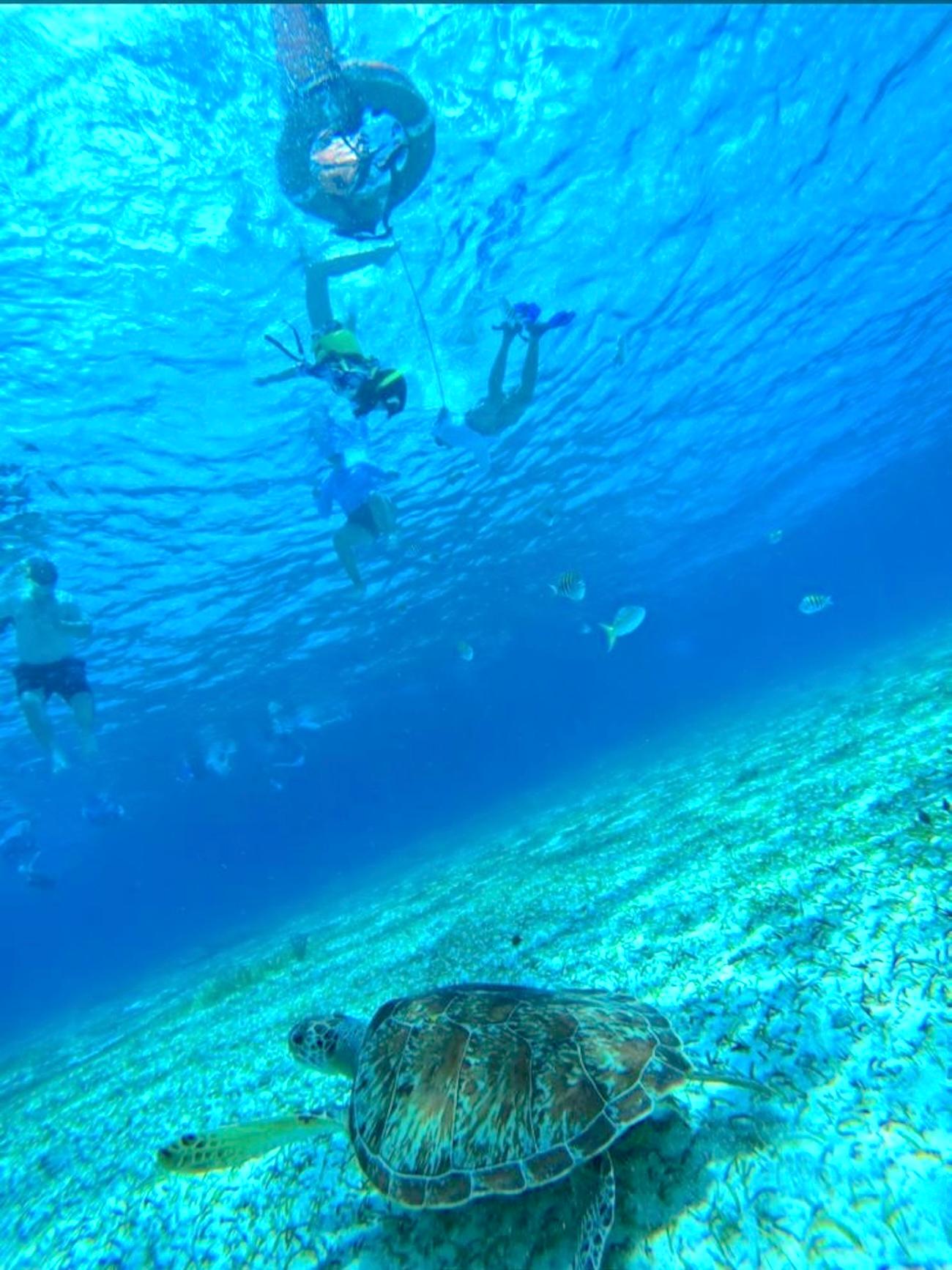 Cozumel: snorkeling on reefs + visit to “El Cielo” – Cozumel, Mexico