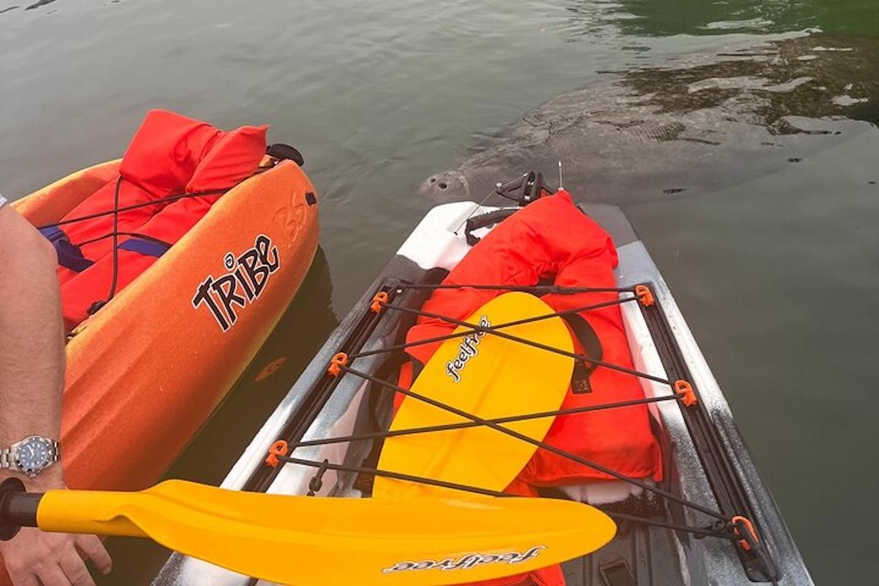 Crystal River: Guided Kayak Tour with Manatee Encounters – Crystal River, Florida