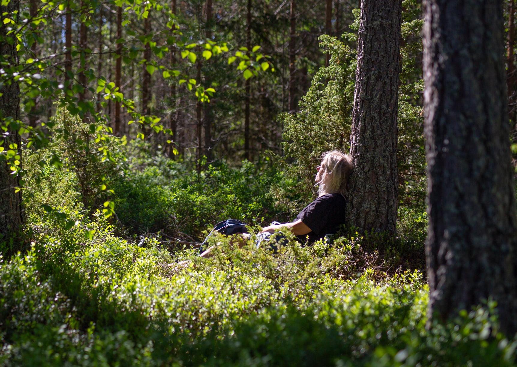 Dala-Floda: Forest Bathing Guided Meditative Walk – Dala-Floda Värdshus, Sweden