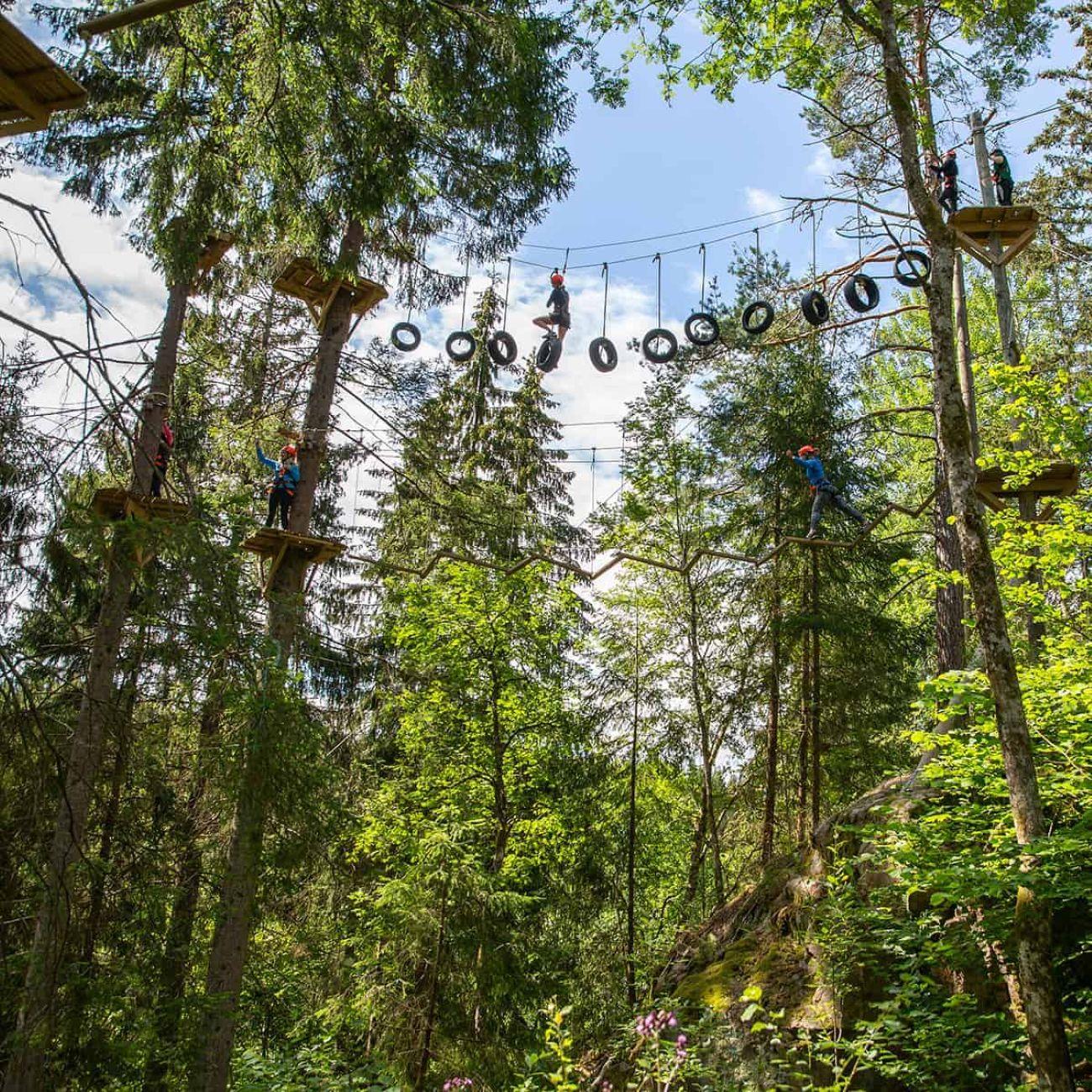 Dals Långed: High Ropes Adventure for Adults and Kids – Bengtsfors, Sweden