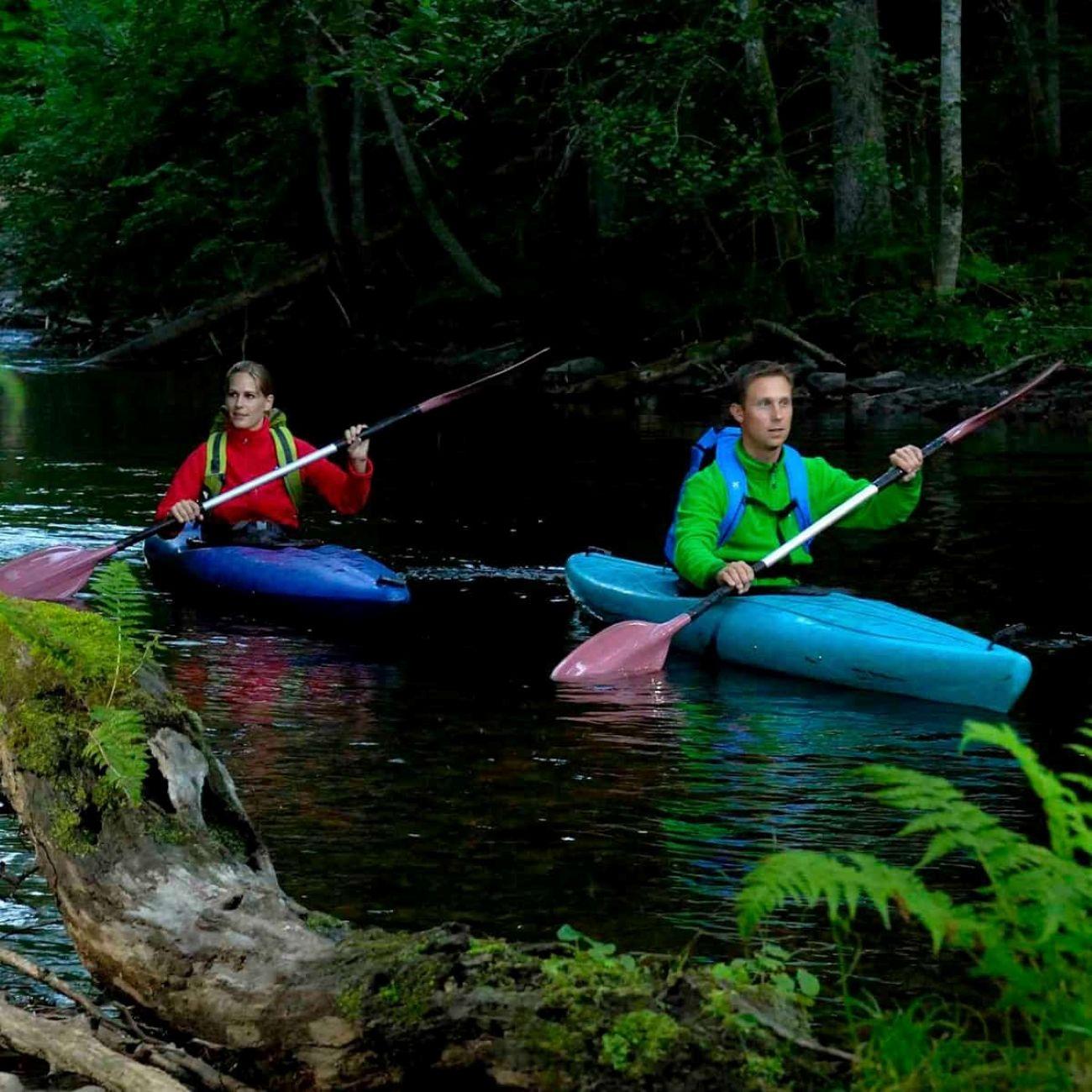 Dals Långed: Steneby River Kayaking Tour – Dals Långed, Sweden