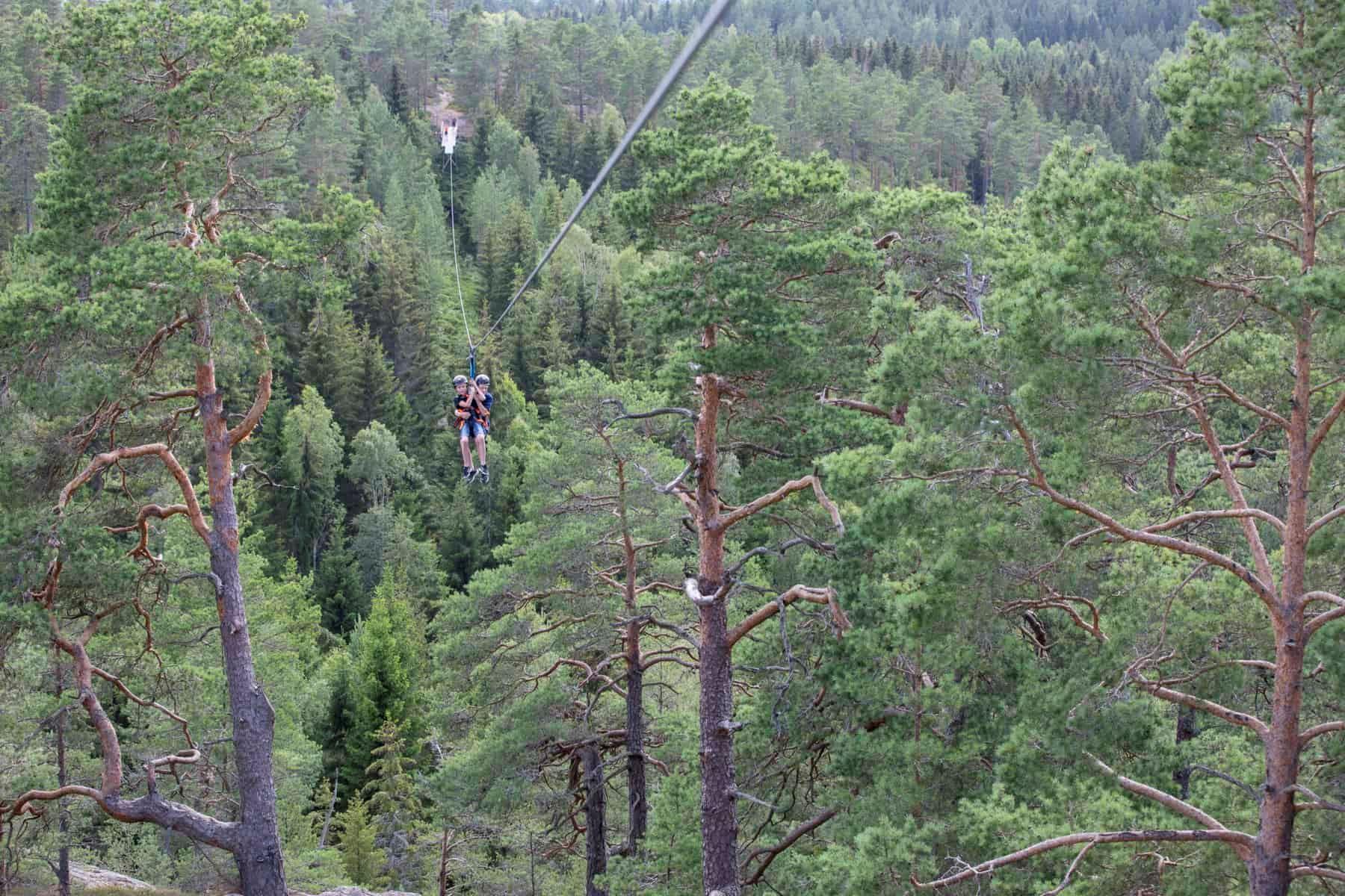 Dals Långed: Zipline Adventure at Steneby Gård – Bengtsfors, Sweden