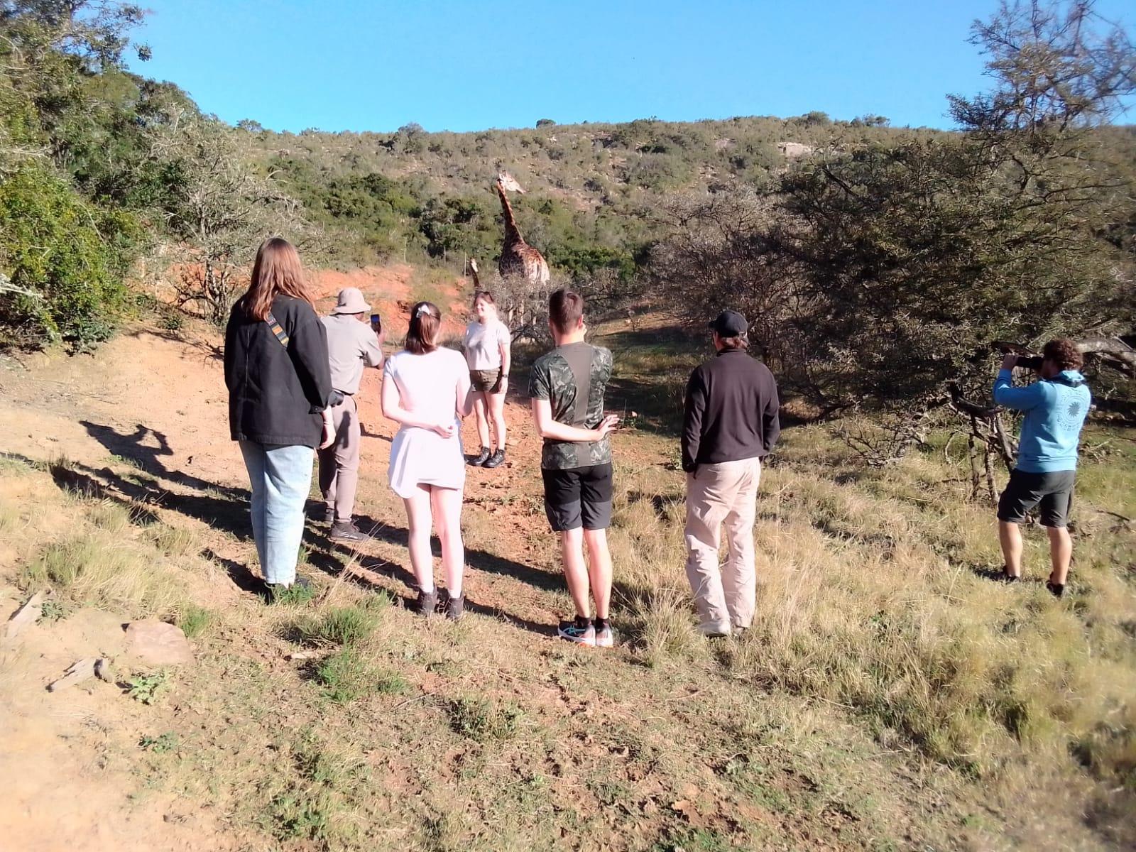 Daniell Cheetah, Addo Elephant and Giraffe Walk Safaris – Addo Elephant National Park, South Africa