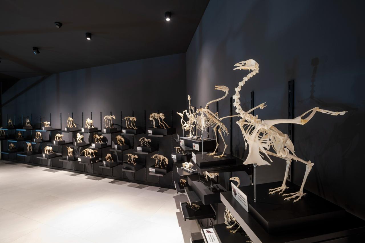 Day trip Baku tour: Gobustan & Absheron – Azerbaijan