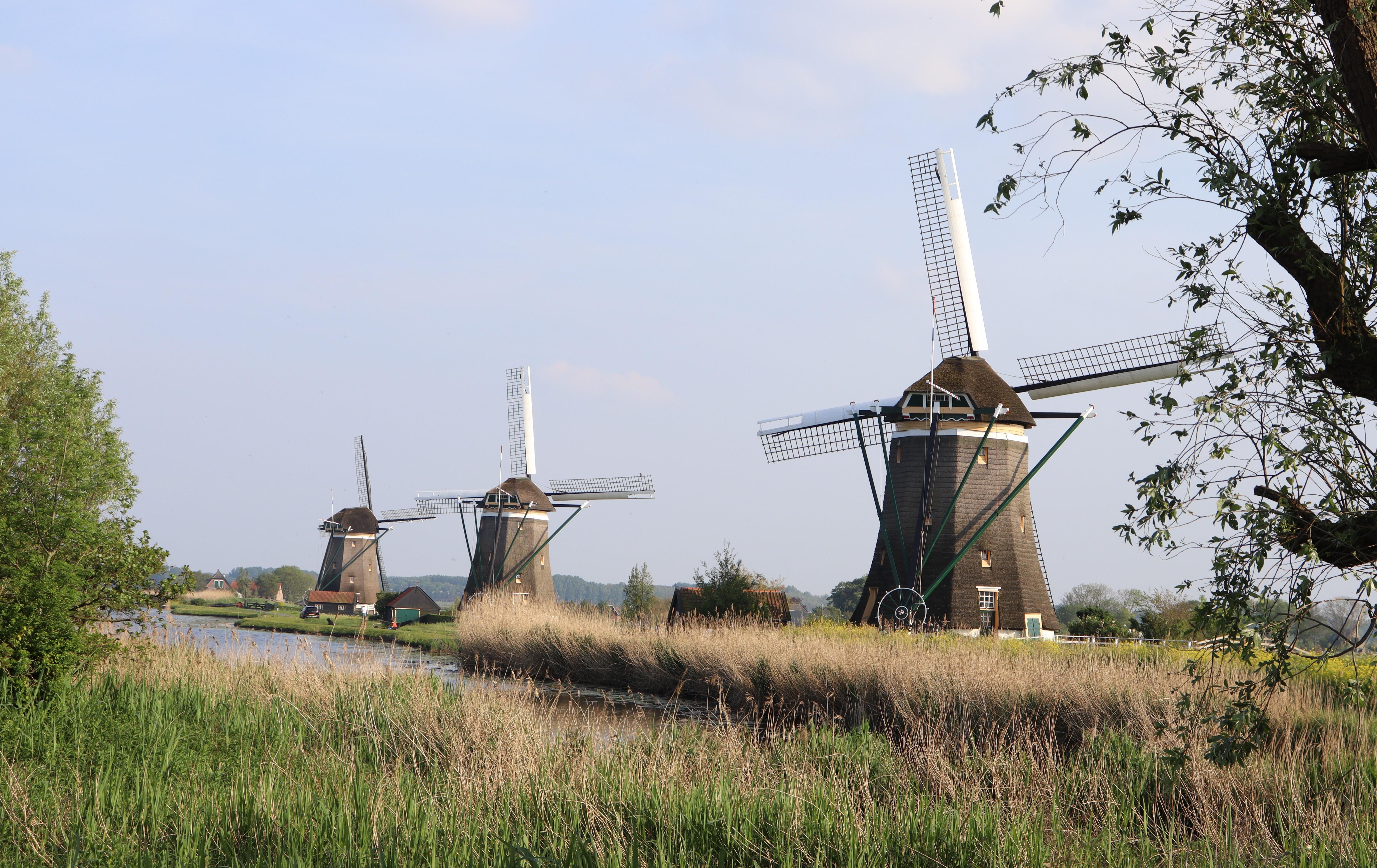 Delft and Volendam: Cheese, Clogs & Windmills (Small Group) – Delft, Netherlands