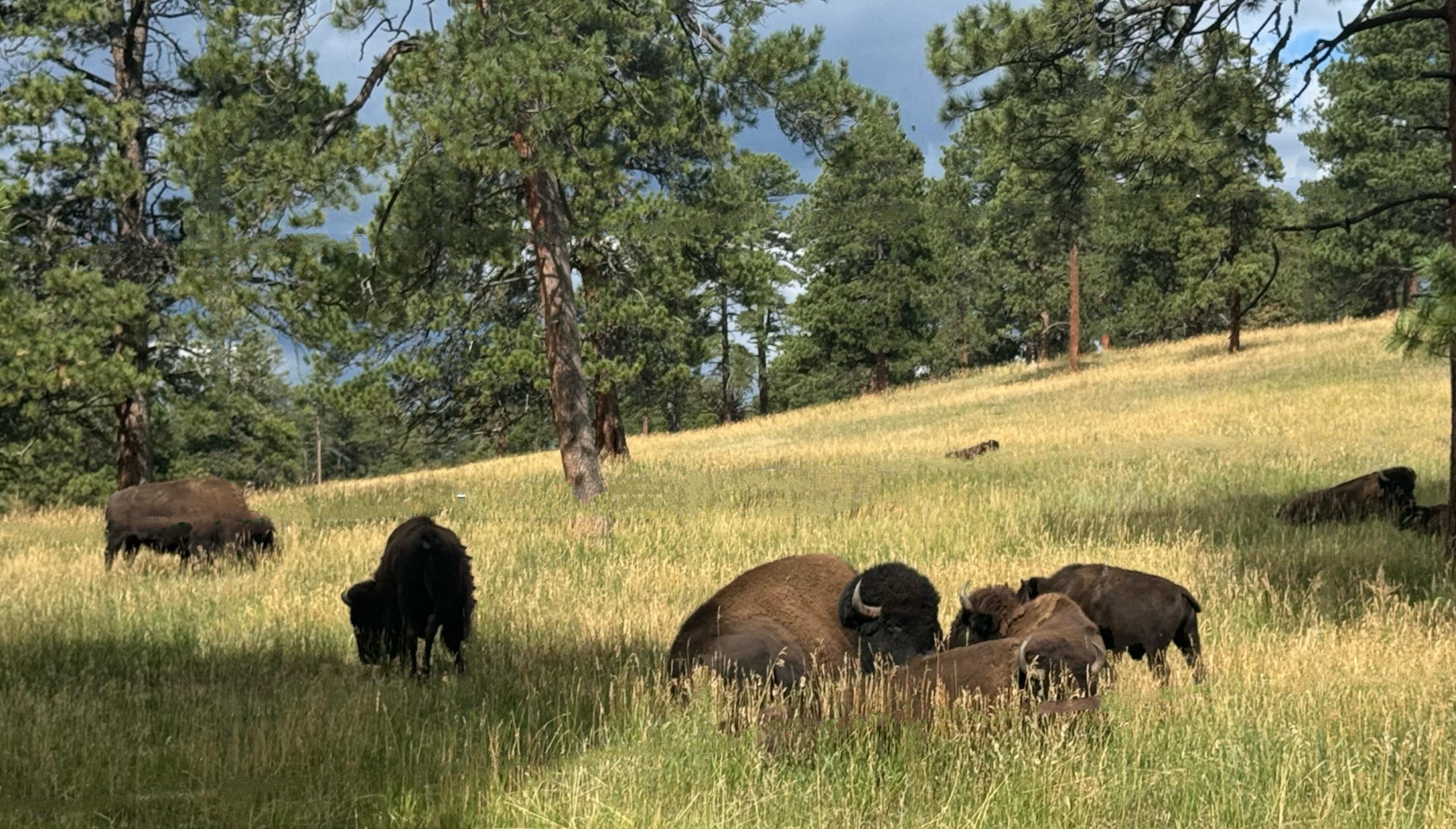 Denver: City Highlights, Golden, and Lookout Mountain – Golden, Colorado