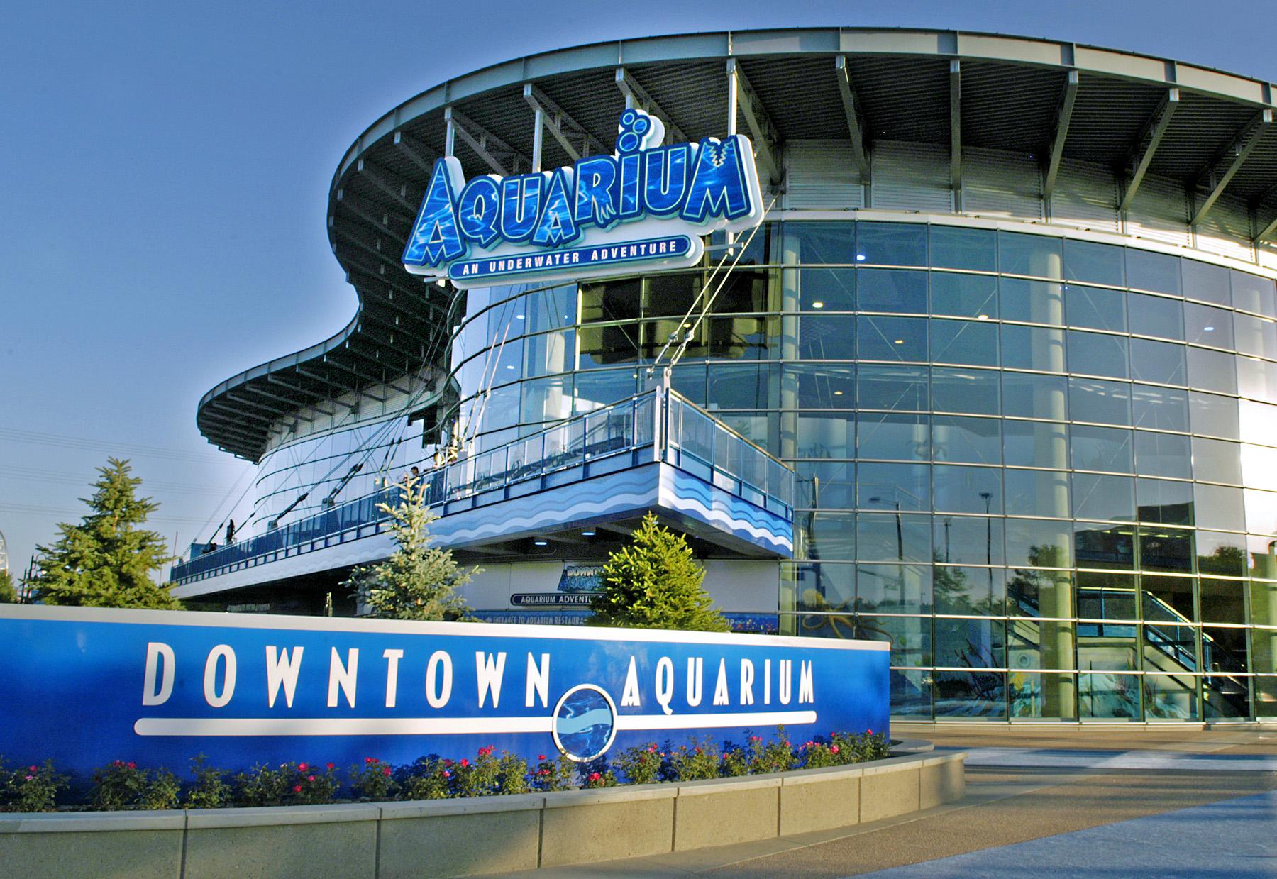 Denver: Downtown Aquarium All-Day Pass – Denver, Colorado