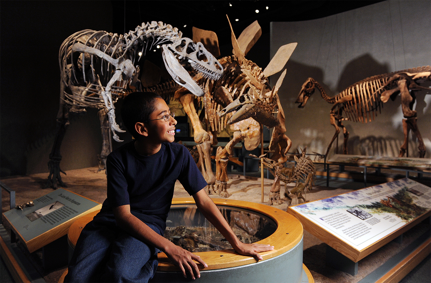 Denver: Museum of Nature and Science Entry Ticket – Denver, Colorado