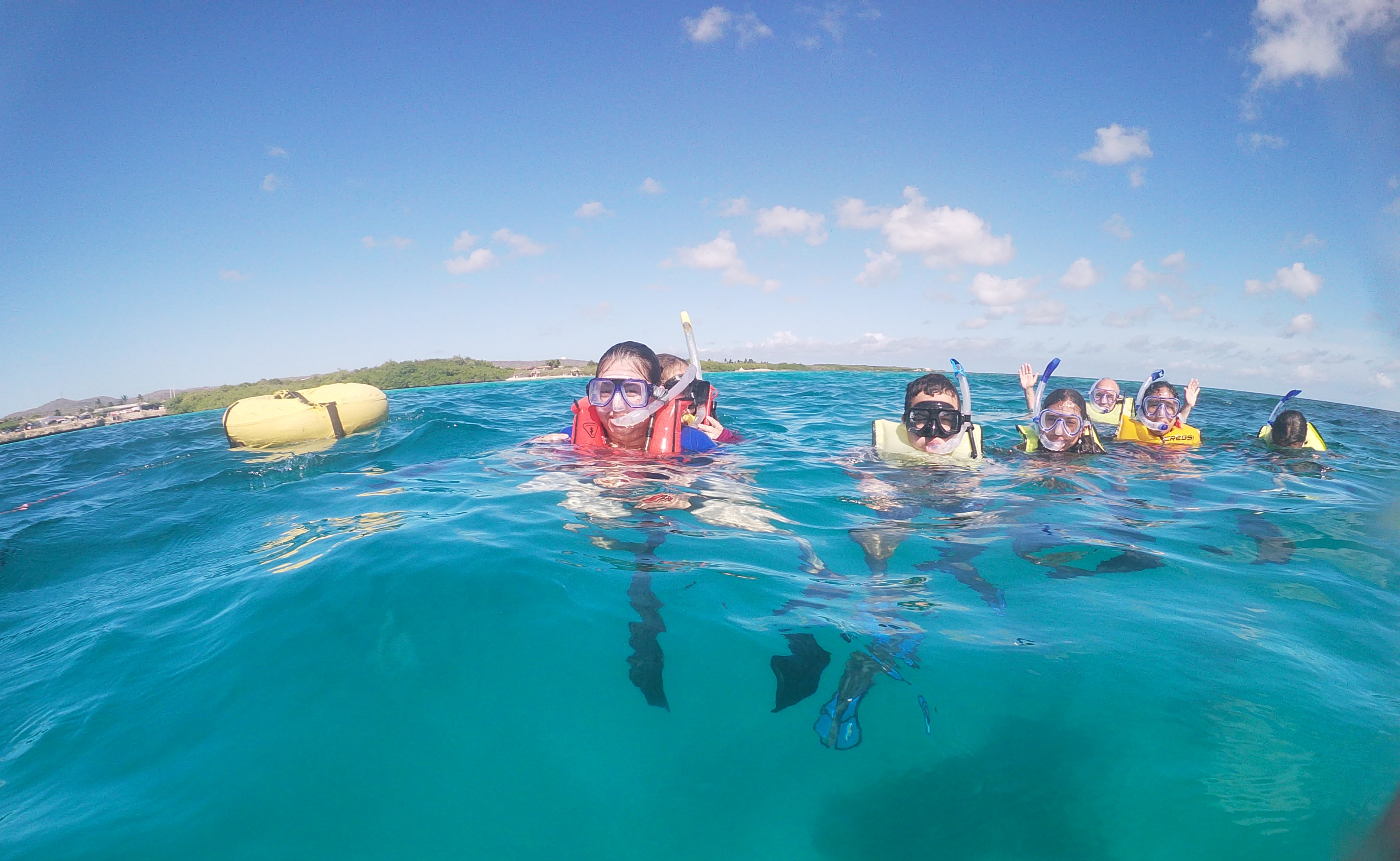 Discover Snorkeling Mangel Halto Beach – Aruba