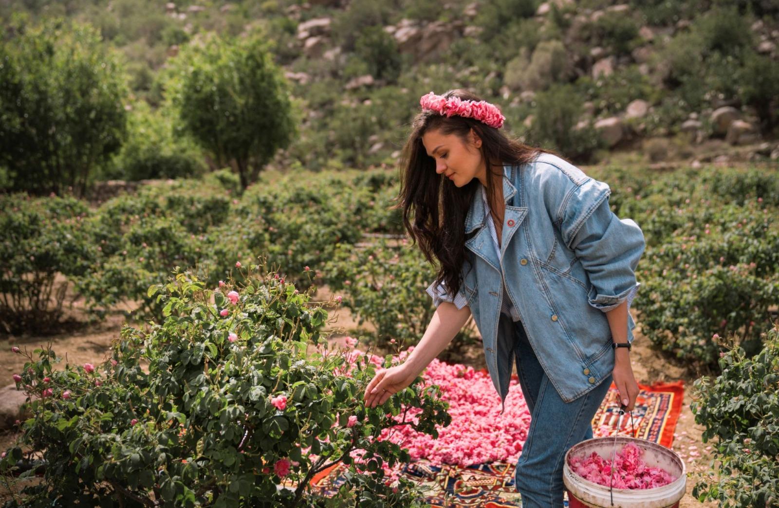 Discover Taif: The Rose City from Jeddah – Saudi Arabia