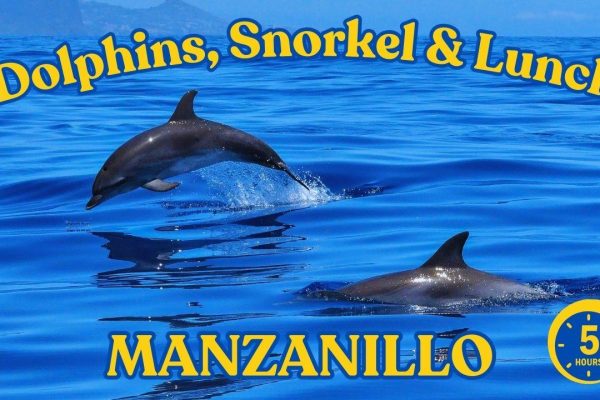 Dive into Paradise: Manzanillo’s Dolphin, Snorkel and Lunch – Cahuita, Costa Rica