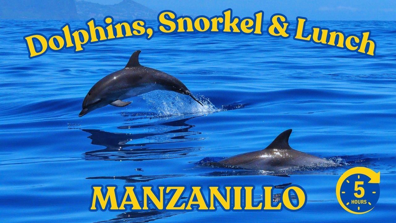 Dive into Paradise: Manzanillo’s Dolphin, Snorkel and Lunch – Cahuita, Costa Rica