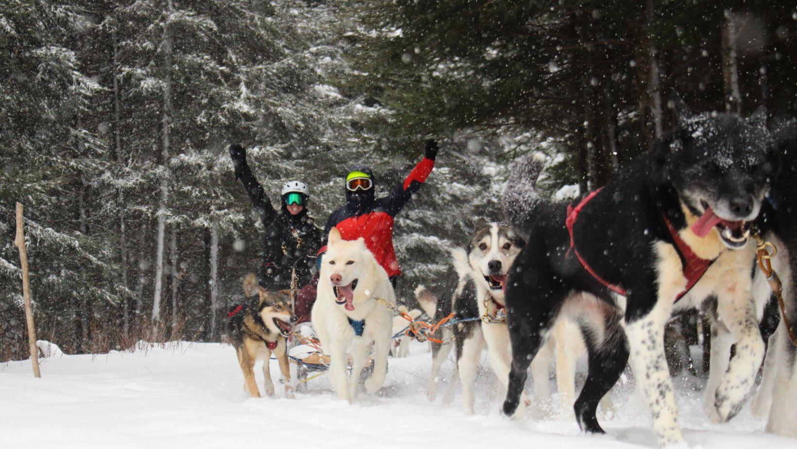 Dogsledding Nordic Adventure near Mont-Tremblant – Labelle, Canada