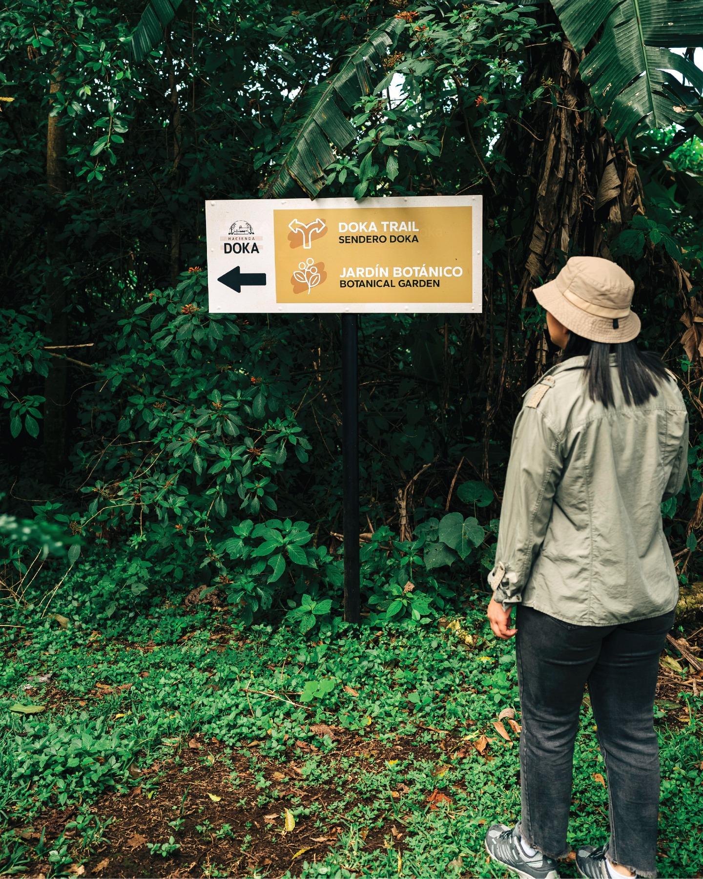 Doka Hiking Trail – Alajuela, Costa Rica