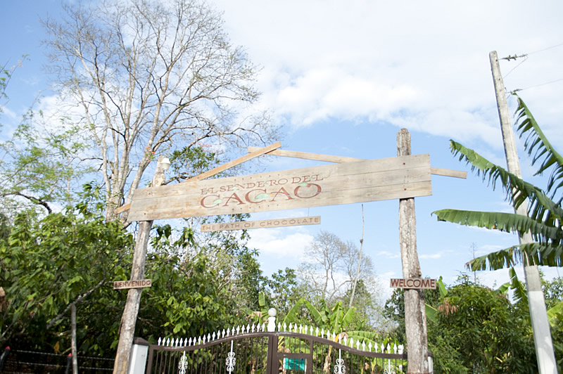 Dominican Republic: 3-Hour Chocolate Lovers Tour – Santo Domingo, Dominican Republic