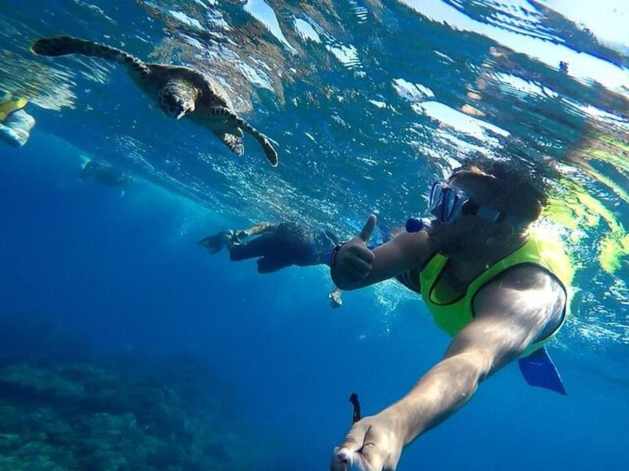 Drake Bay: Snorkeling Tour in Caño Island with Lunch – Drake Bay, Costa Rica