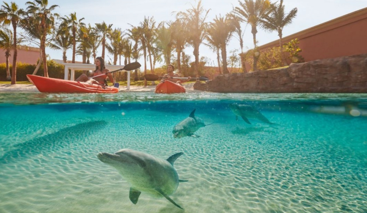 Dubai: Aquaventure World Waterpark Day Pass & Dolphin Kayak – Dubai, United Arab Emirates