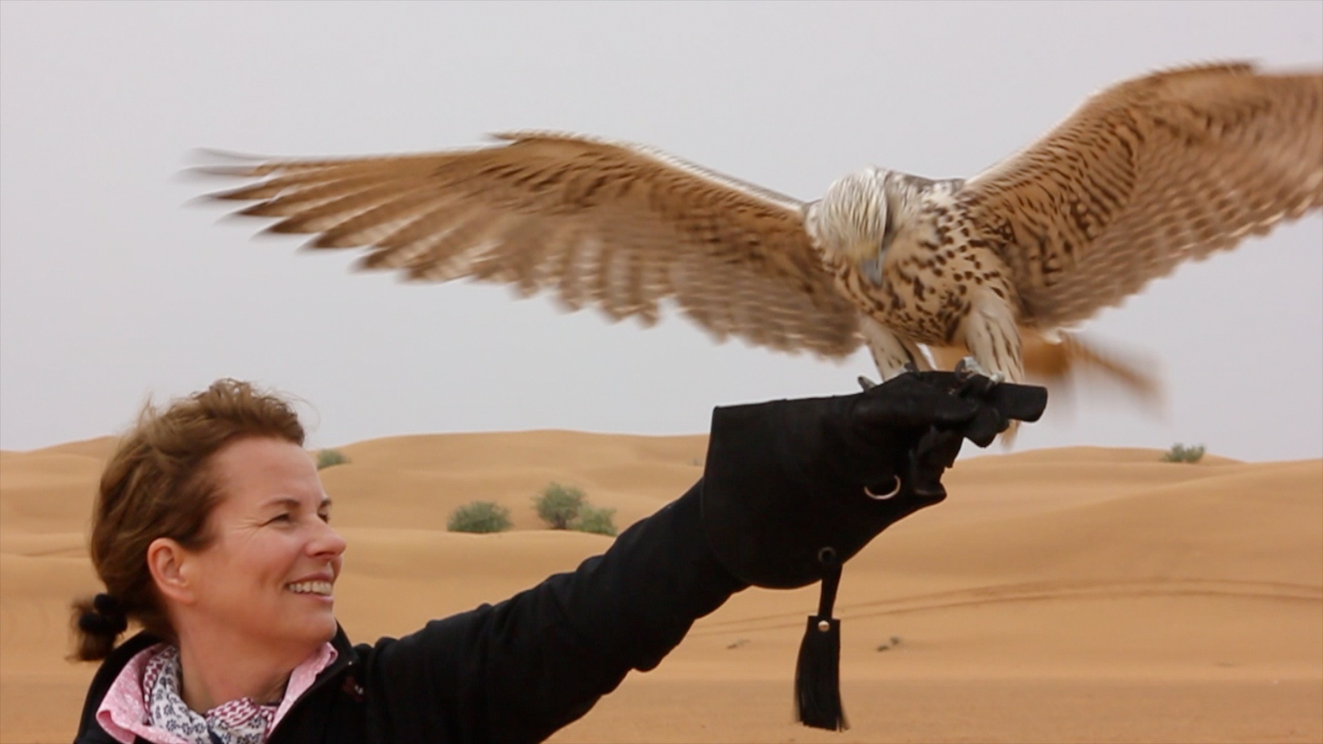 Dubai Falconry Safari – Dubai, United Arab Emirates