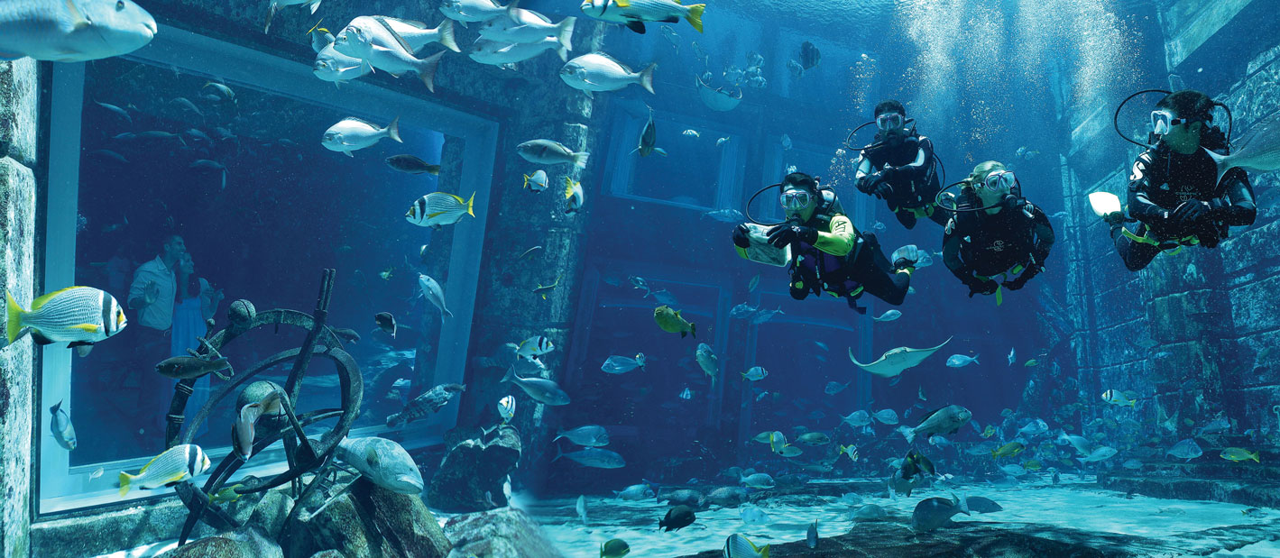 Dubai: Lost World Aquarium Atlantis Diving Experience – Dubai, United Arab Emirates