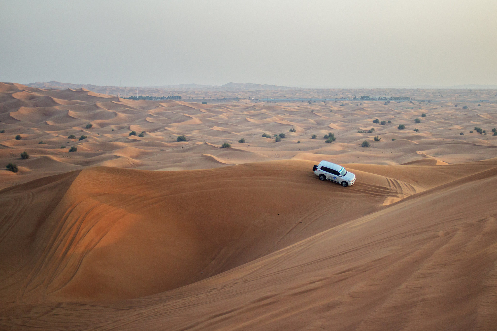 Dubai: Morning Desert Safari – Dubai, United Arab Emirates