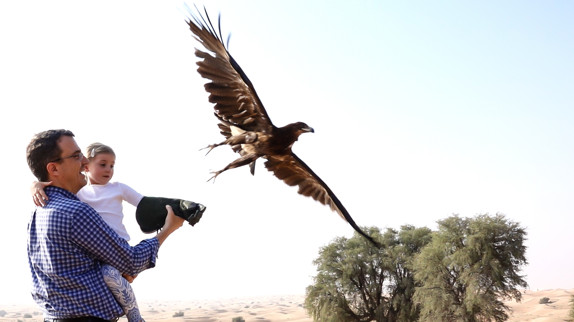 Dubai: Private Falconry Safari – Dubai, United Arab Emirates