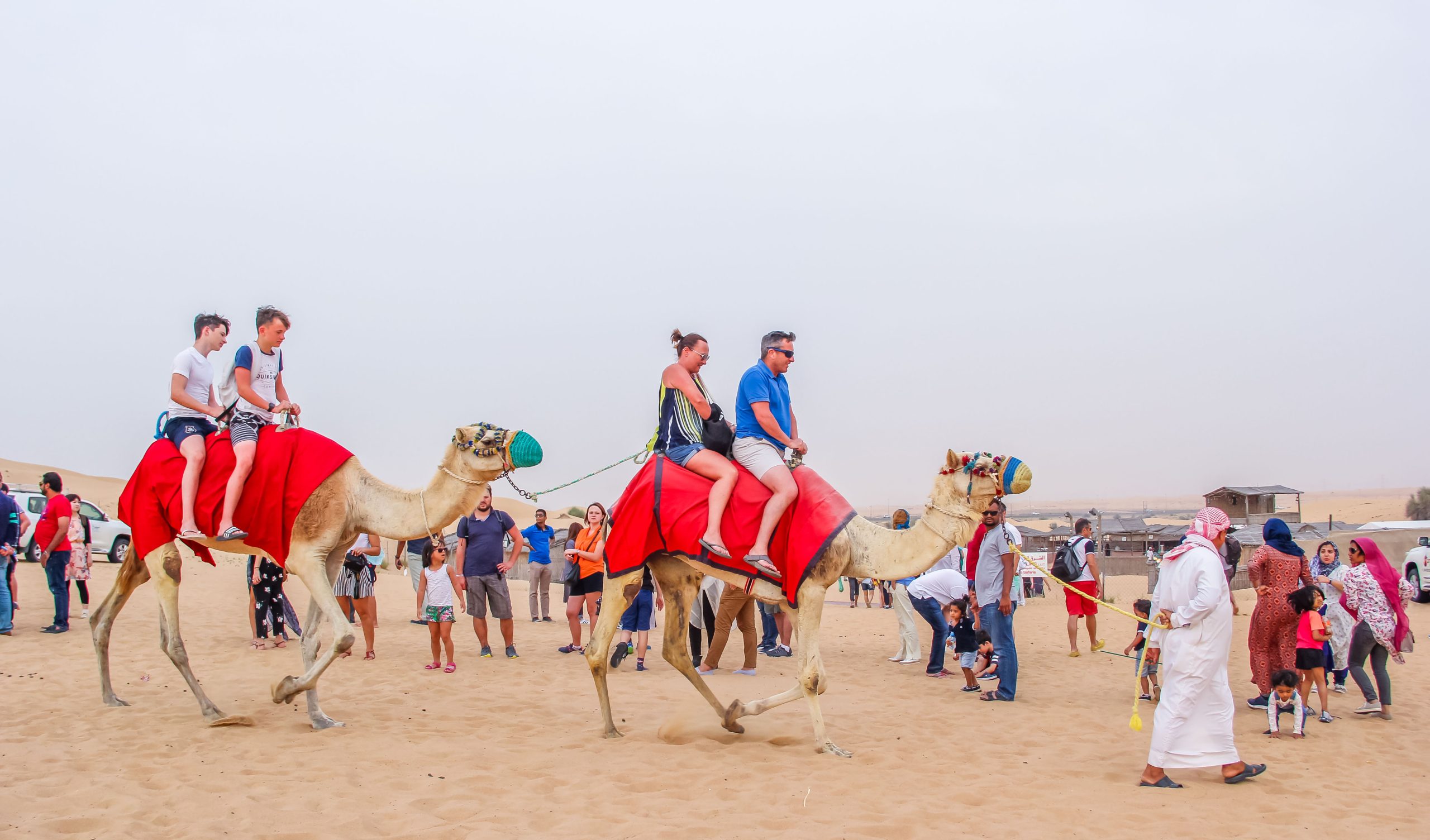 Dubai Sunrise Desert Camel Trek with Breakfast – Dubai, United Arab Emirates