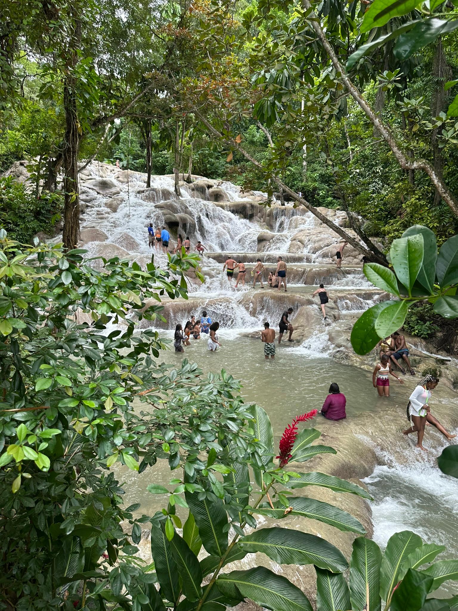 Dunn’s River Falls, Bob Marley 9 Mile – Optional Lagoon Tour – Falmouth, Jamaica