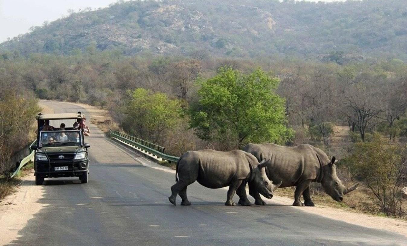 Durban: Tala Game Reserve, Phezulu Park, & Market Tour – Durban, South Africa