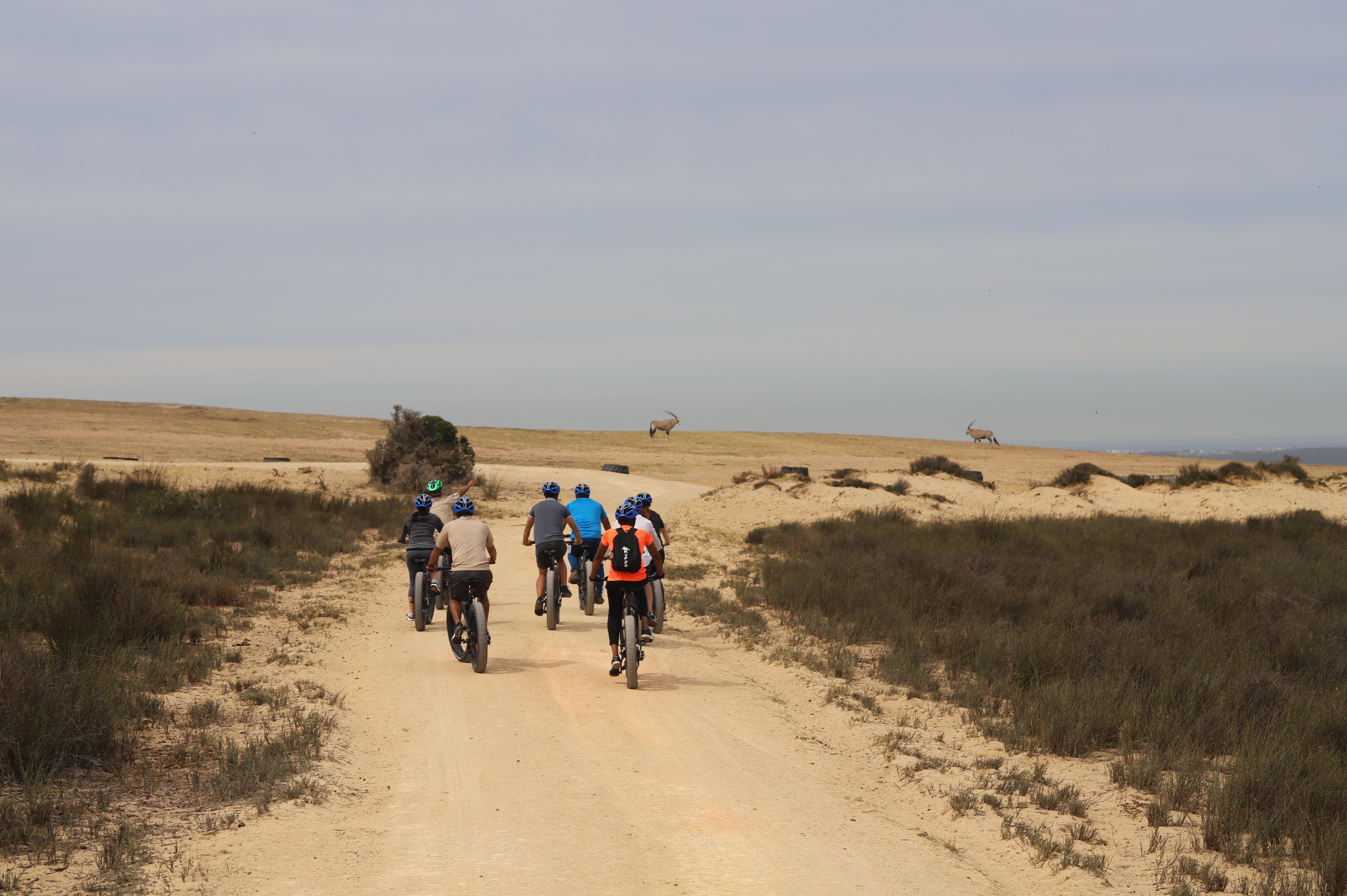 E-Bike Safari Tour with Wildlife Viewing & Lunch – Hopefield, South Africa