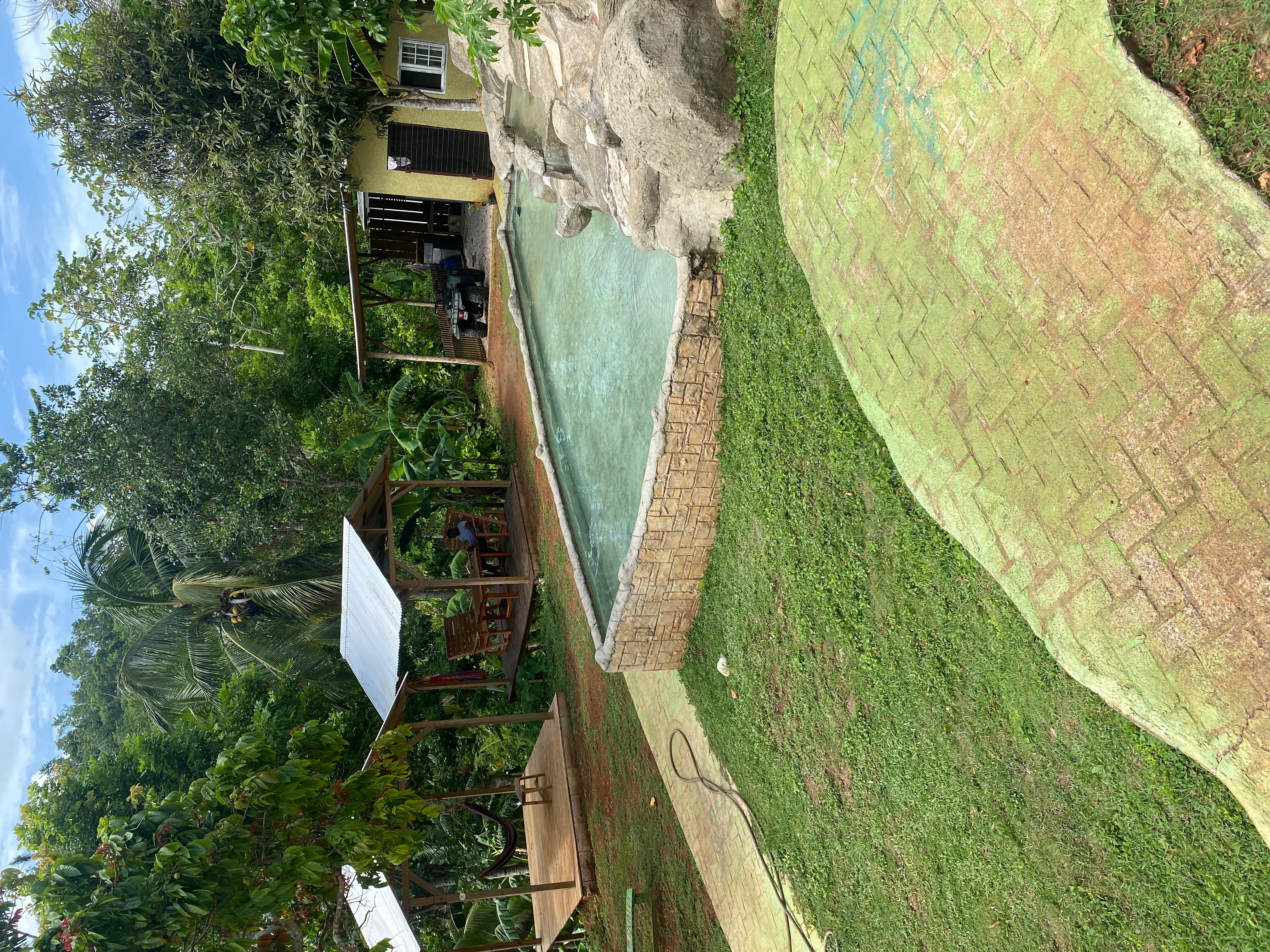 Earth Family Farms: Collier Gully Holistic River Nature Hike – Dunns River Falls & Park, Jamaica