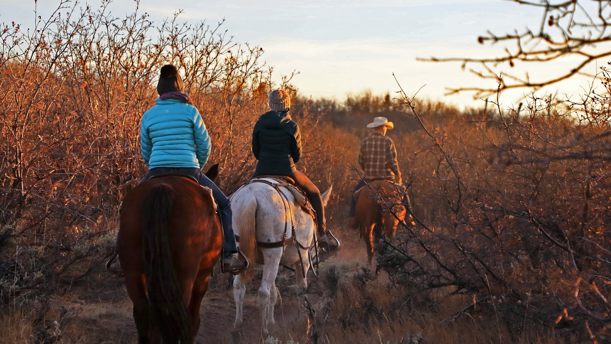 East Zion: Pine Knoll Horseback Tour – Zion National Park, Utah