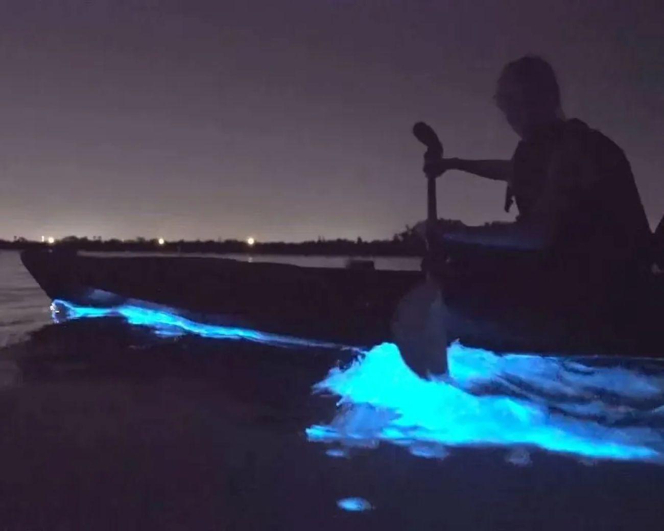 Eastsound: Orcas Island Bioluminescent Kayak Tour – Eastsound, Washington