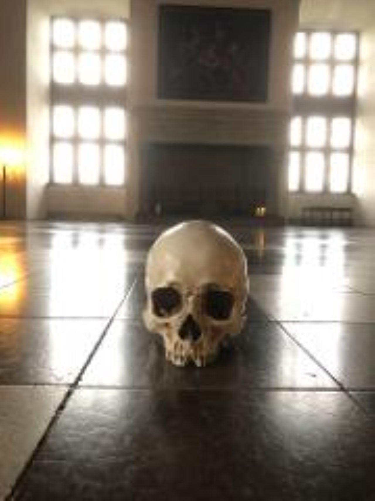 Easy Pace Tour of Kronbog Castle & Frederiksborg Palace W – Helsingor, Denmark