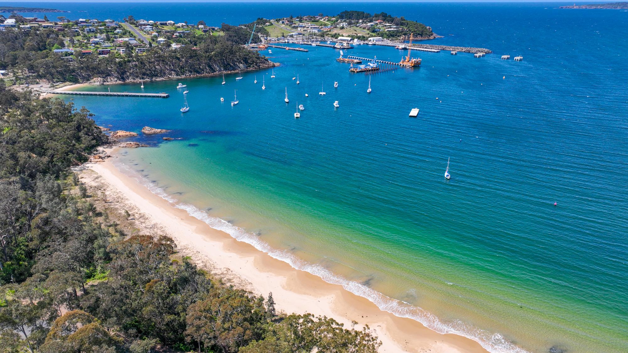 Eden: 2-Hour Highlights Tour, Nature, Beaches and Lookouts – Eden, Australia