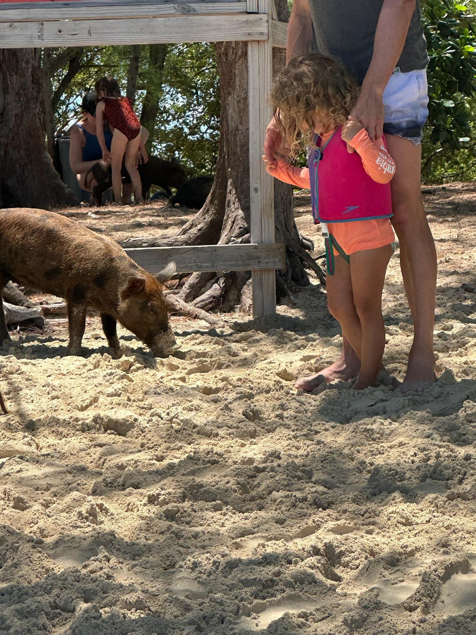 Eleuthera Adventure: Swings, Pigs, and Reefs – Exuma Cays, Bahamas