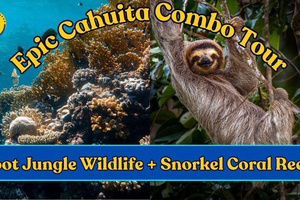 Epic Cahuita Combo Tour: Snorkel Reefs & Hike with Wildlife – Cahuita, Costa Rica