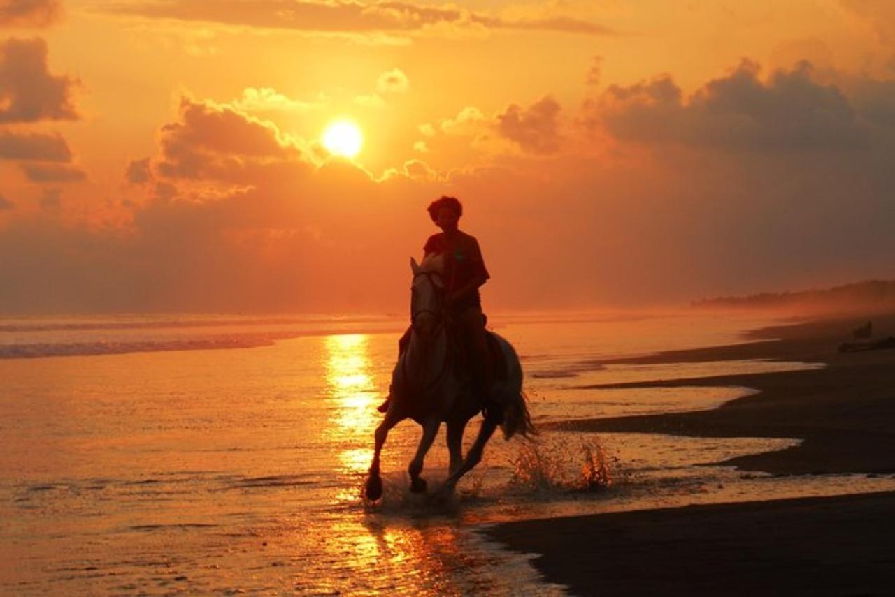 Esterillos Este: Manuel Antonio Beach Horseback Ride – Esterillos Este, Costa Rica