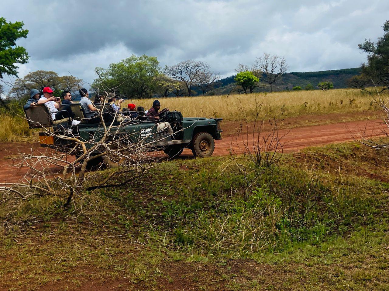 Eswatini: Kruger National Park Day Trip with Game Drive – Phalaborwa, South Africa