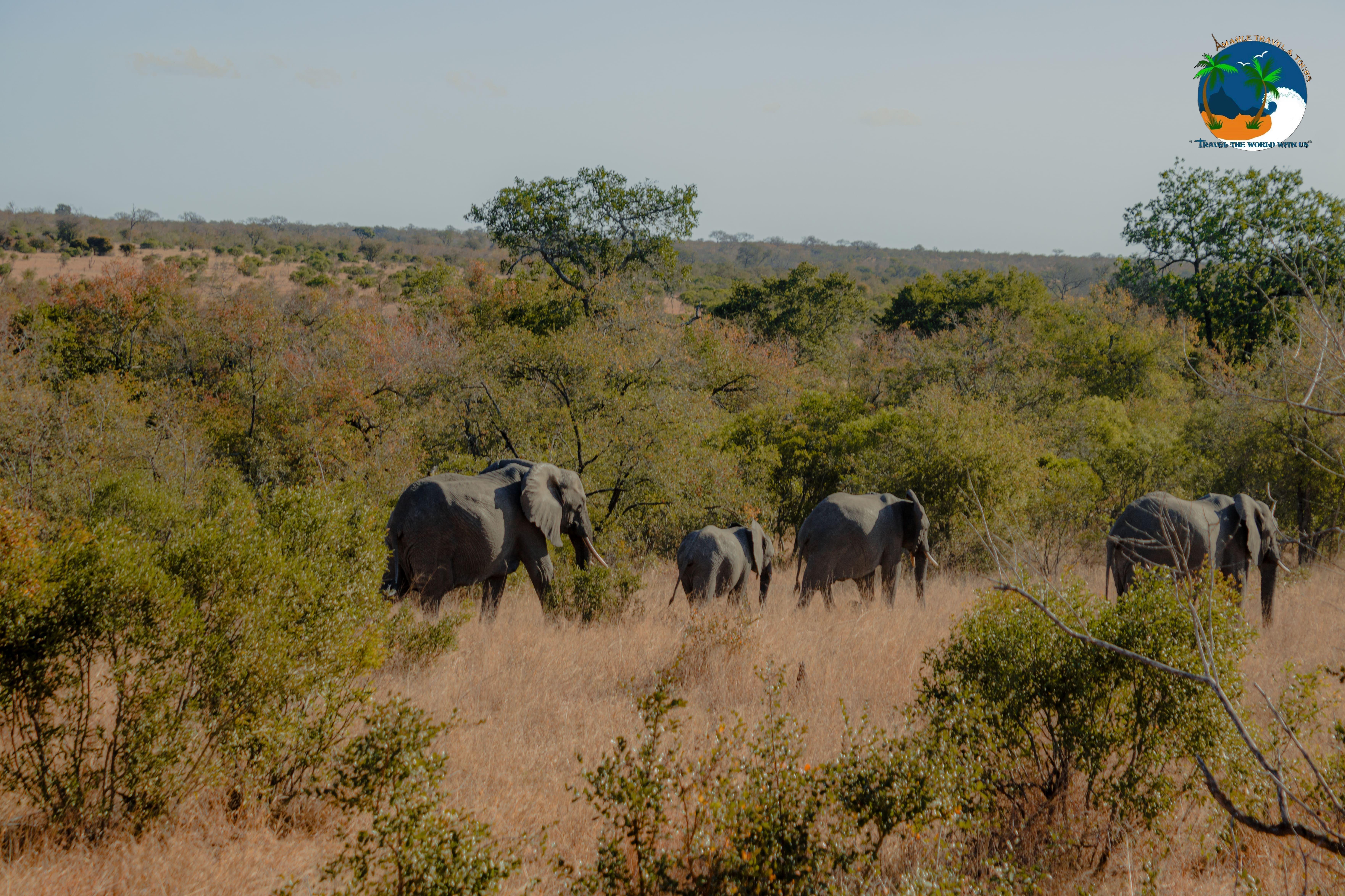 Eswatini: Kruger National Park & Panorama Route Experience – Pilgrim’s Rest, South Africa