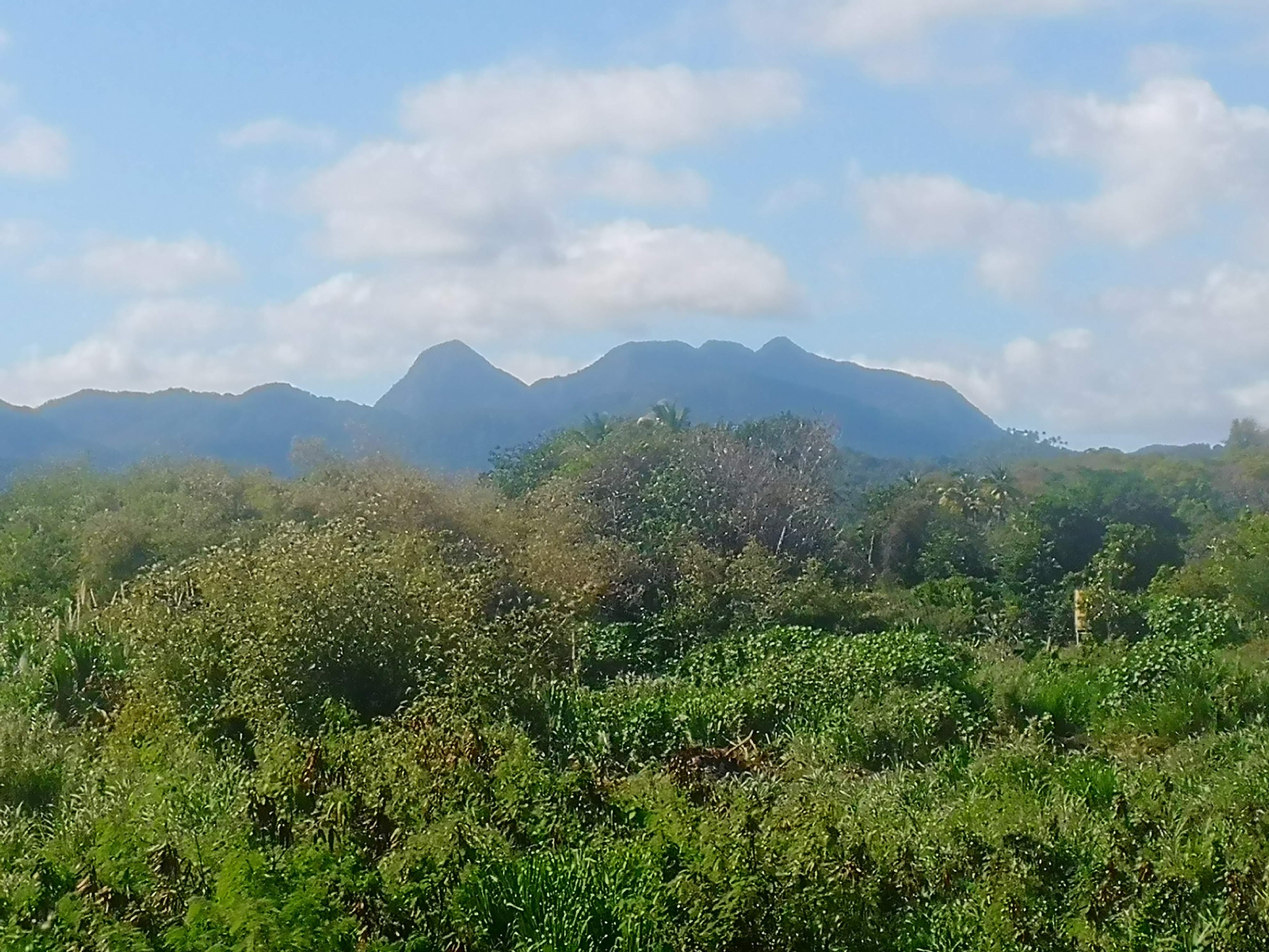 Faces Of St.Lucia. Unique Features of My Awesome Home. – Saint Lucia