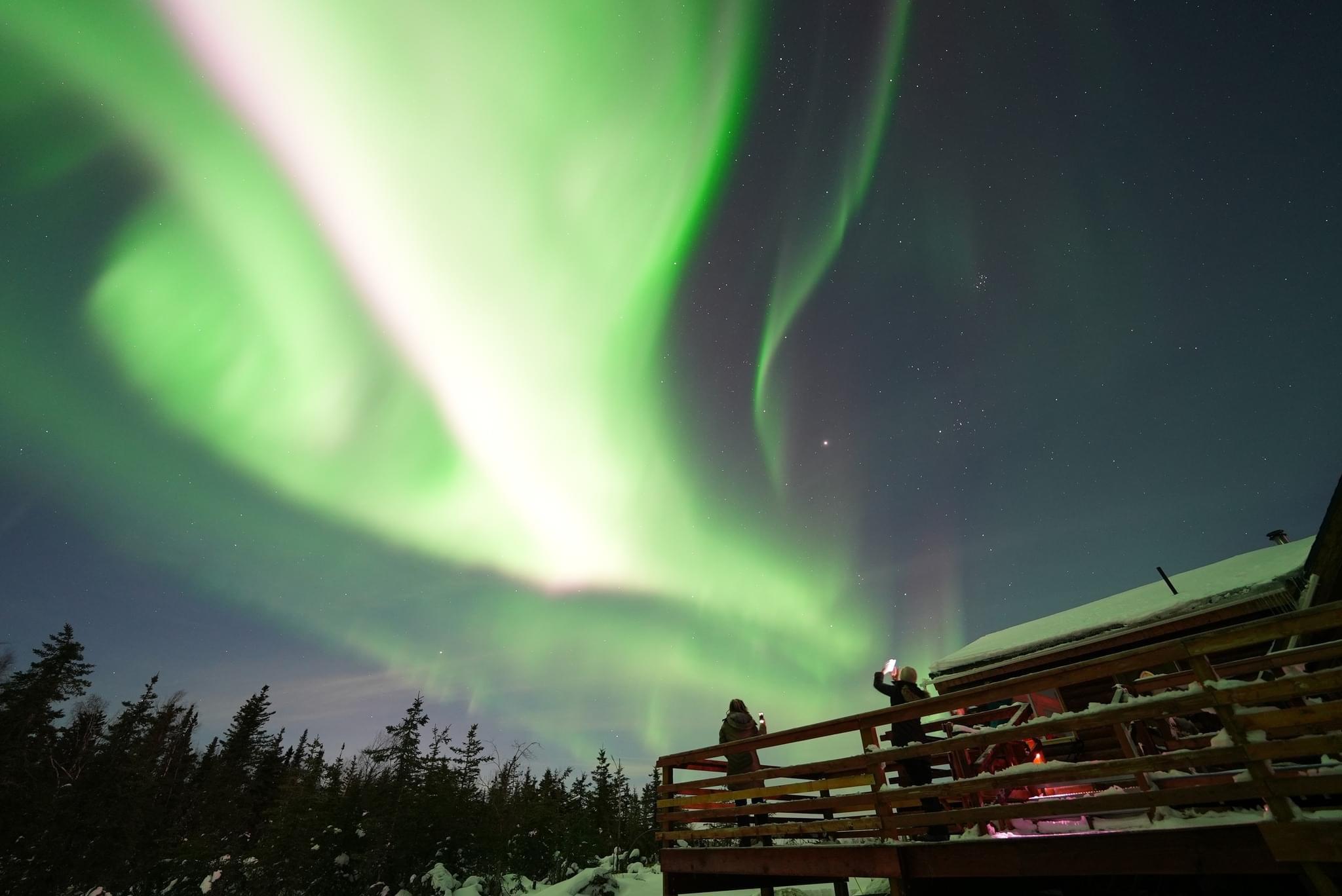 Fairbanks: Aurora Husky Lodge Aurora Viewing Tour – Fairbanks, Alaska